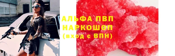 СК Володарск