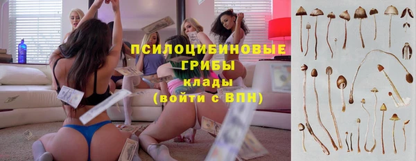 СК Володарск